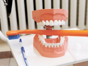 Photo: brossage d'une prothèse à l'aide d'une brosse